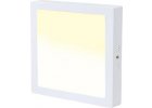 LED Panels für Decke 300x300mm