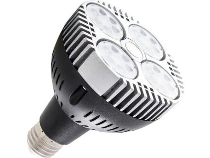 LED Glühbirne E27 PAR30 SR35 24 warmweiß