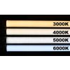 Staubdichtes LED Gehäuse + 2x 60cm LED Leuchtstoffröhre tageslichtweiß