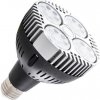 LED Glühbirne E27 PAR30 SR35 24 warmweiß