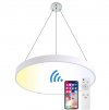 Hängendes Weißes LED Panel 500mm 36W smart CCT mit Treiber